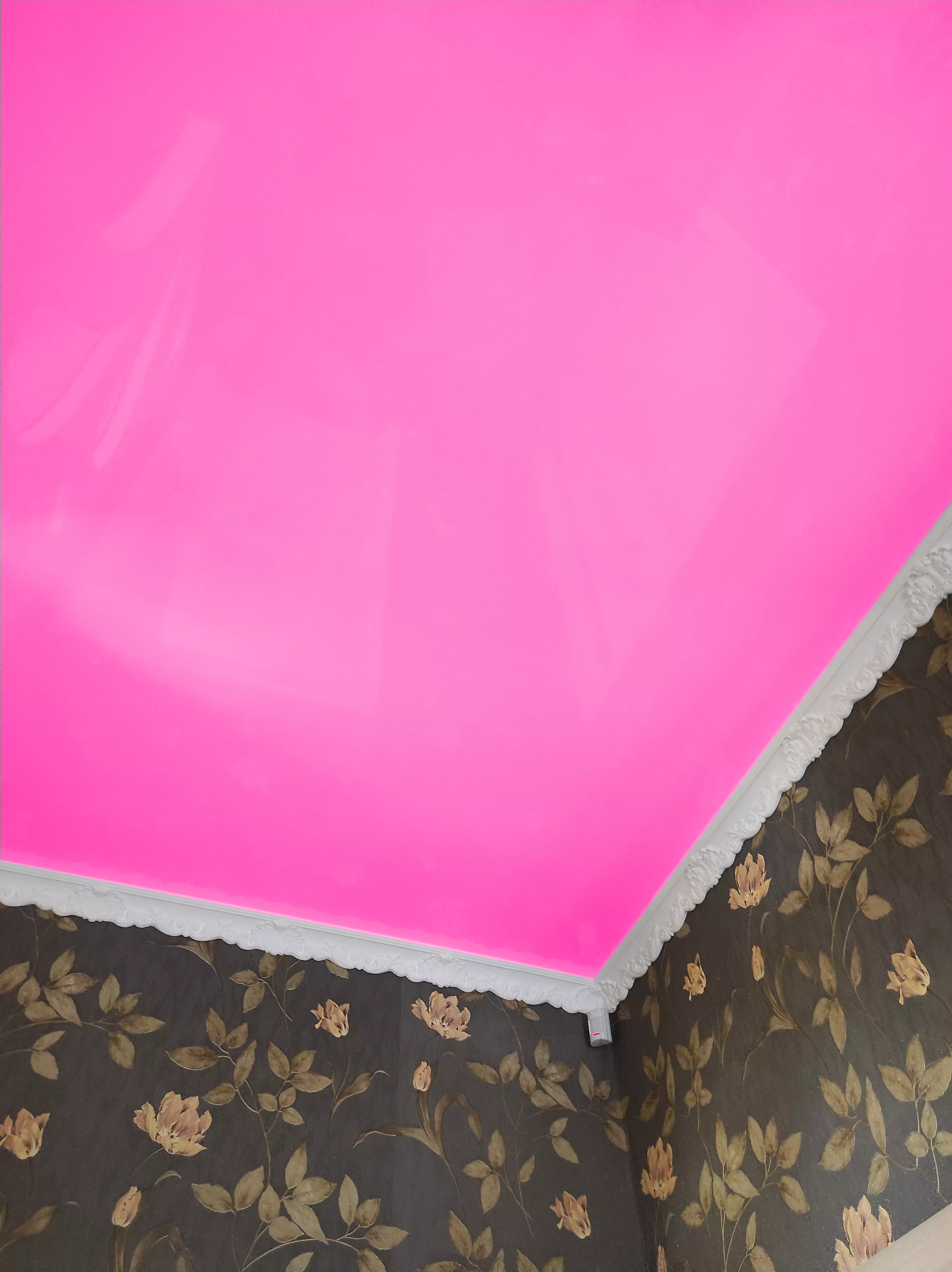 Владикавказ, улица Астана Кесаева, 33Б, фото 2