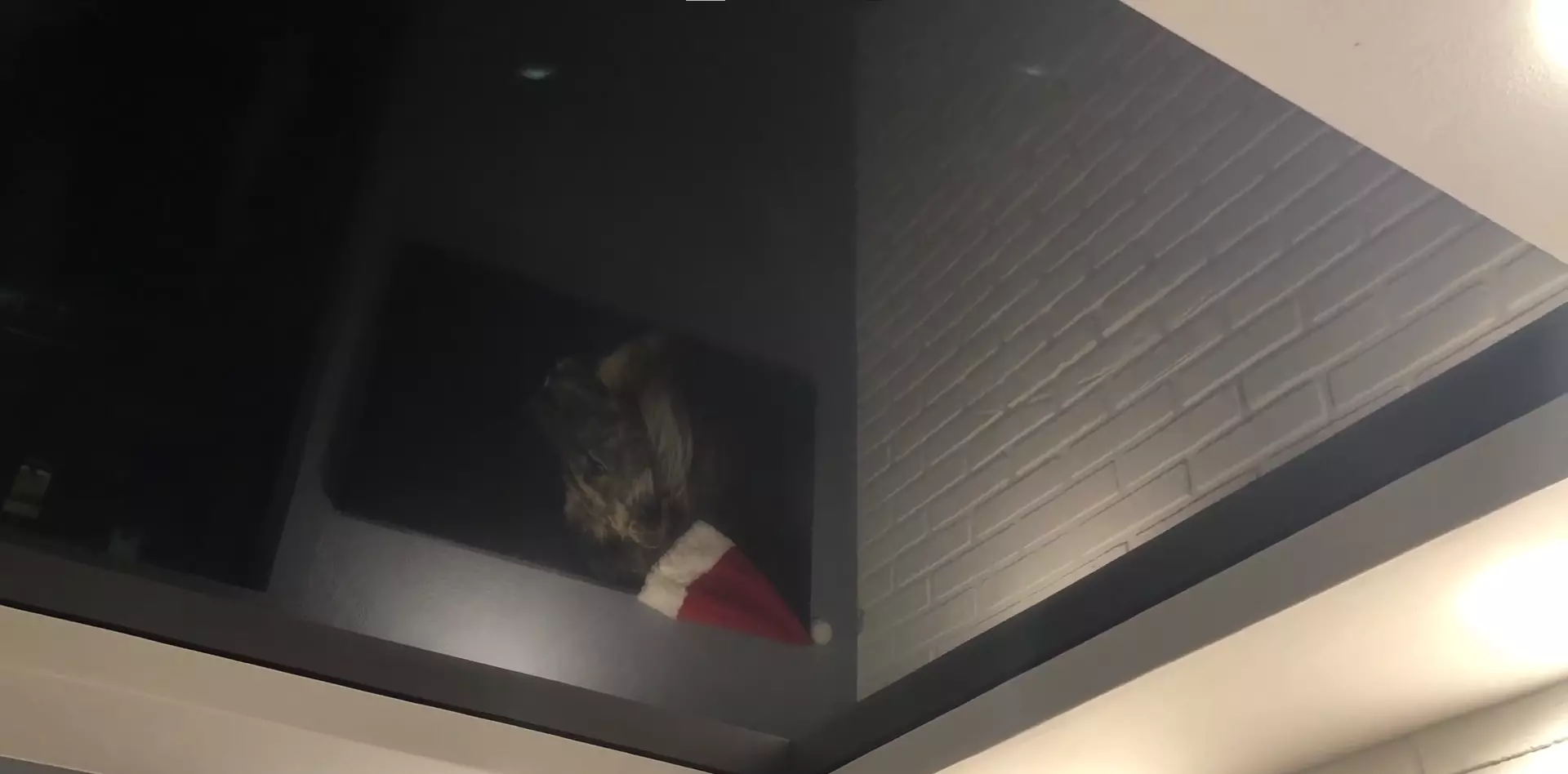 Рязань, Дзержинского, 74-76, фото 3