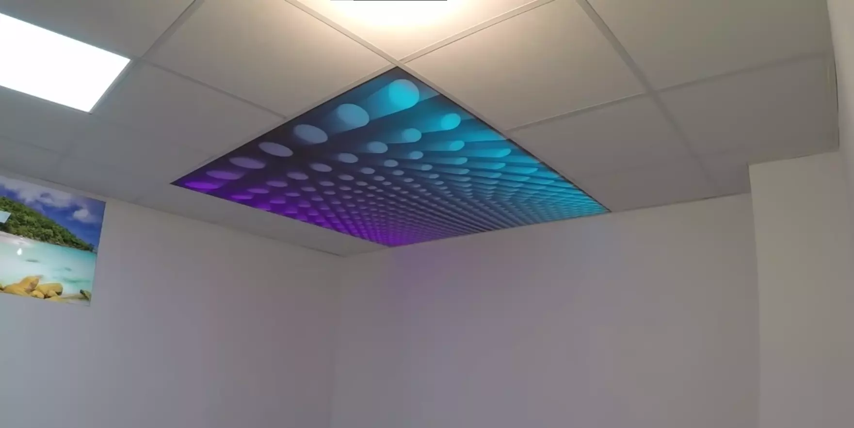 Псков, Леона Поземского, 116, фото 1