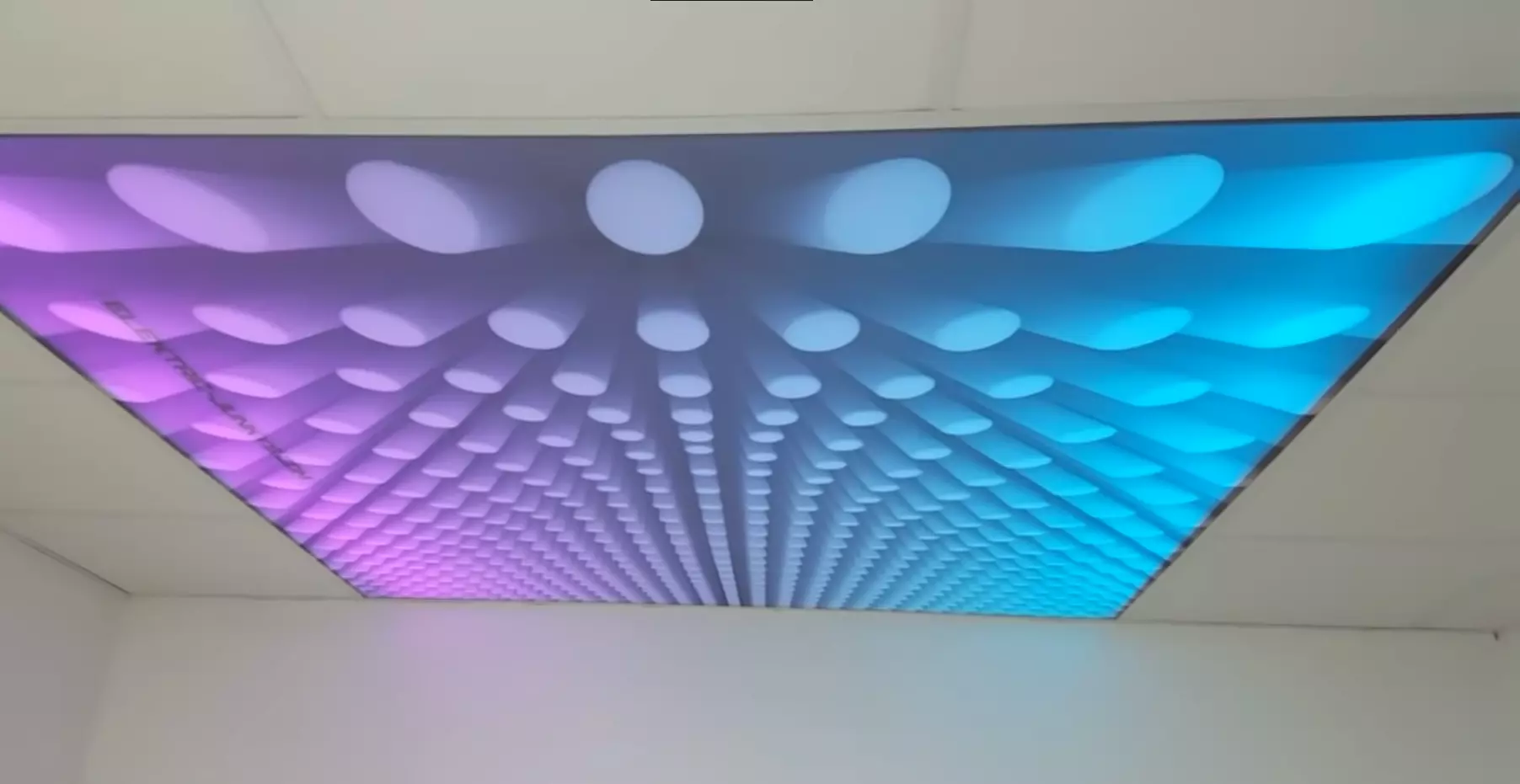 Псков, Леона Поземского, 116, фото 2