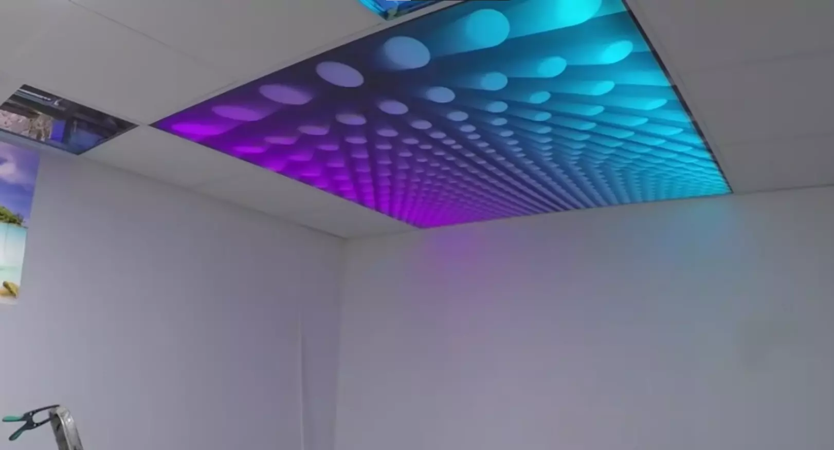 Псков, Леона Поземского, 116, фото 3